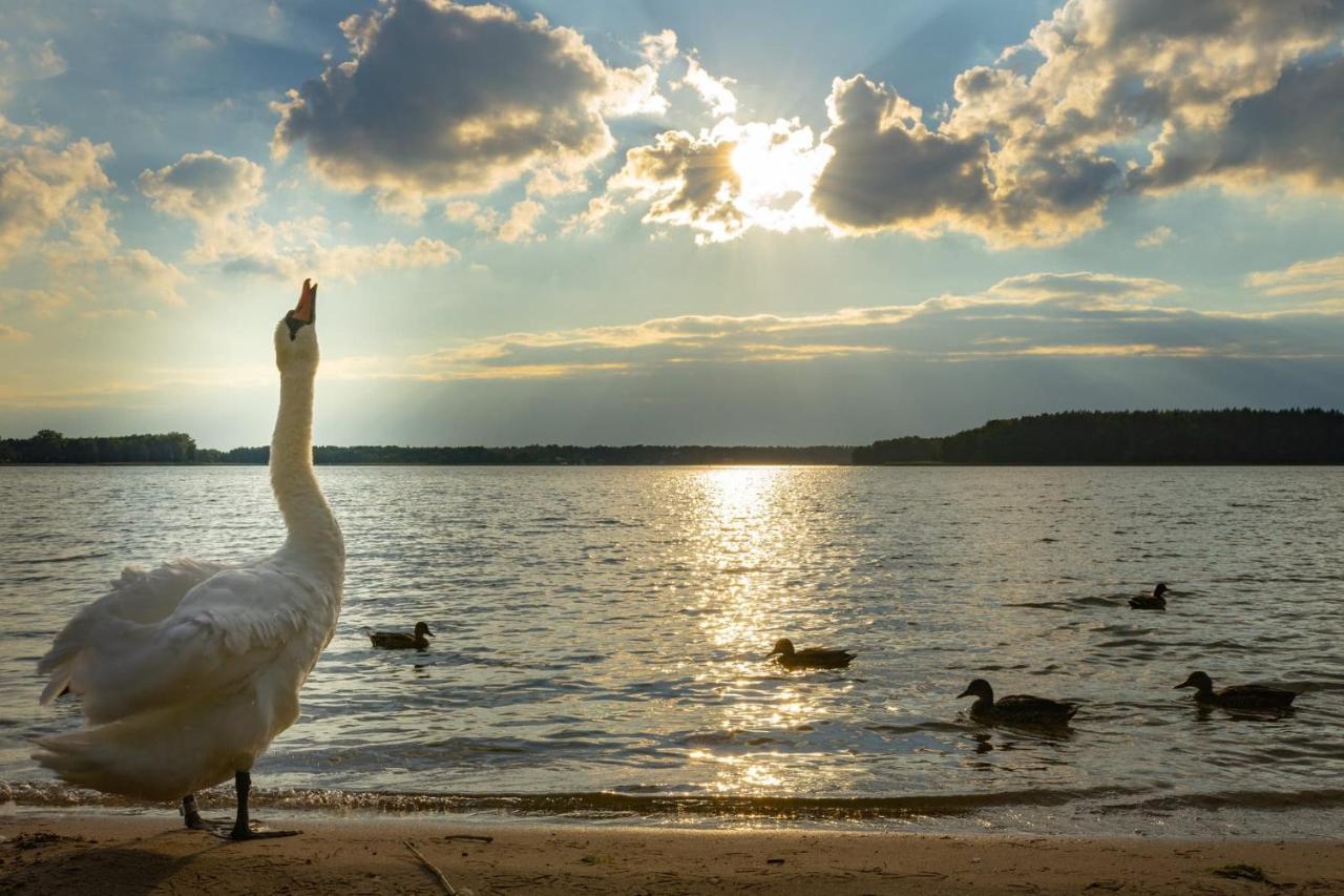 Apartament Augustów SWAN Zewnętrze zdjęcie